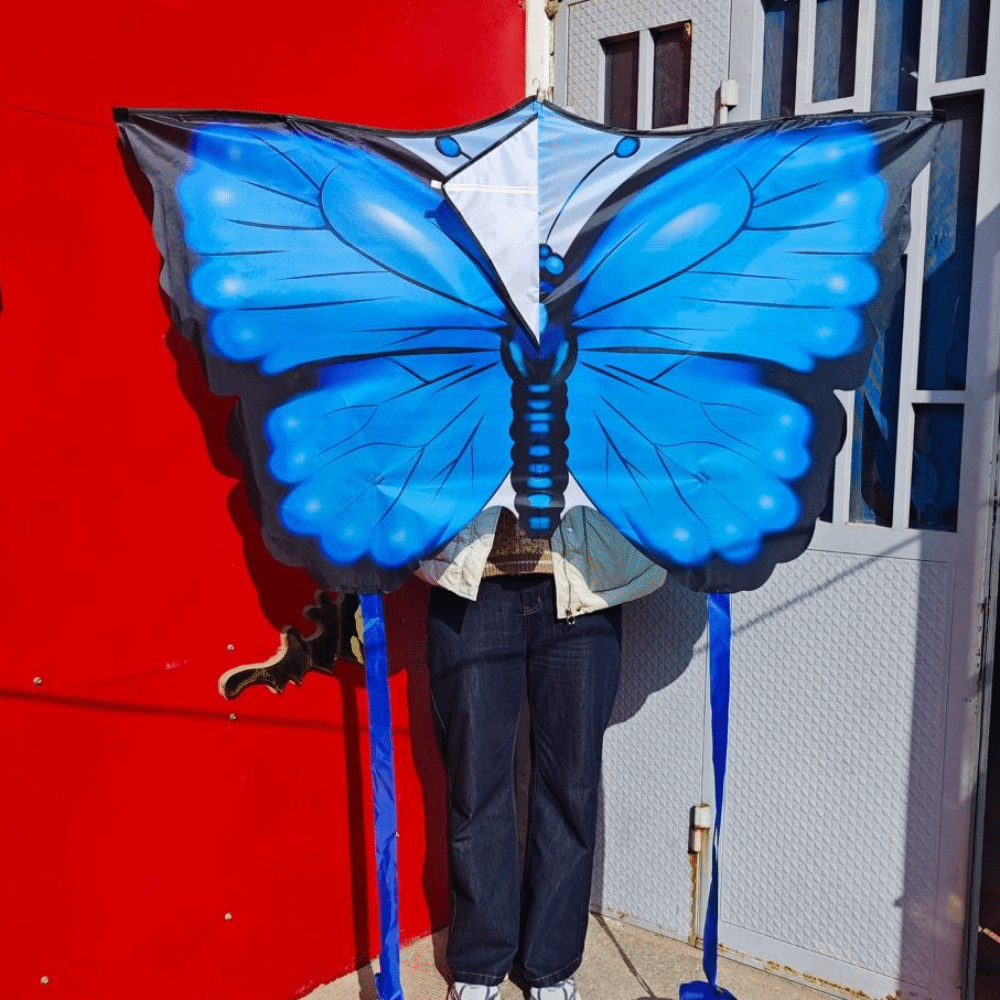 High Quality Easy To Fly Butte - Kite Wind Outdoor ulasan dan harga